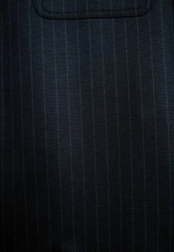 Next Herren STRIPE MOTION FLEX - Leichte Jacke - Navy Blue -Next Verkäufe 2022 16bff6ca37f64f5887869c05d43c0f07