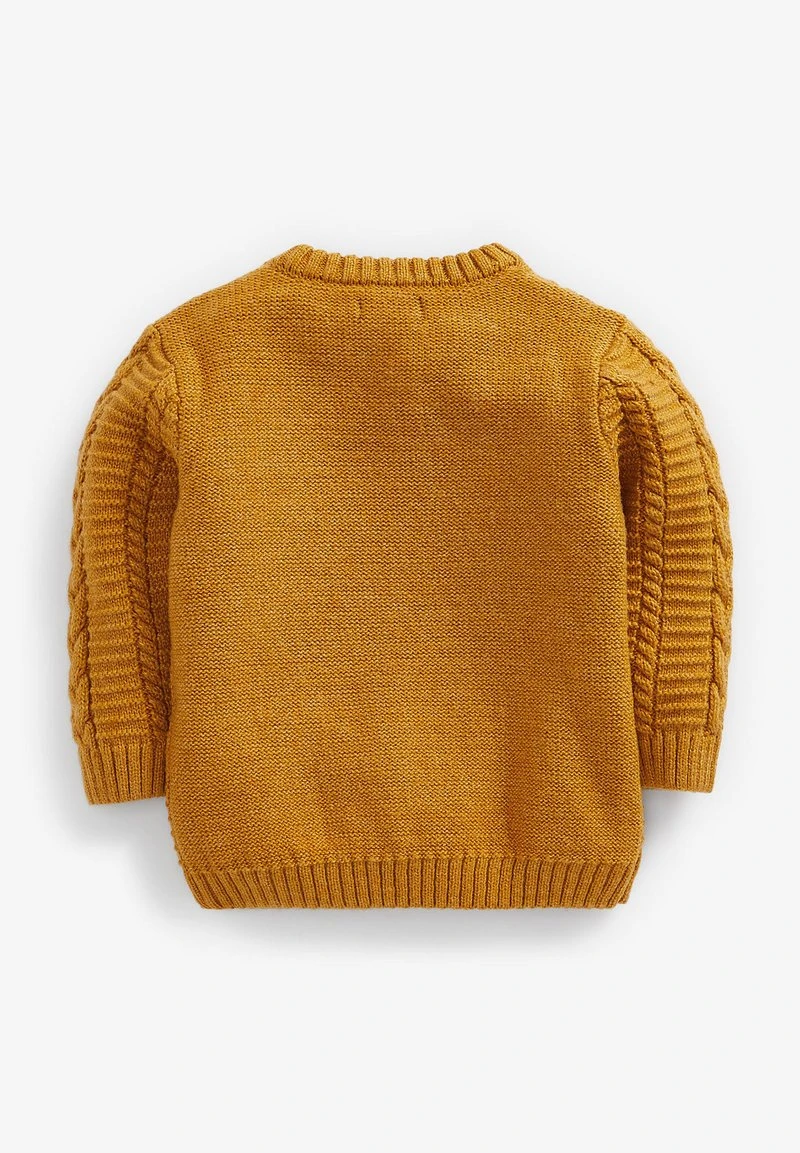 Next Kinder CABLE CREW - Strickpullover - Ochre 2 Next Kinder CABLE CREW - Strickpullover - Ochre – Bild 2