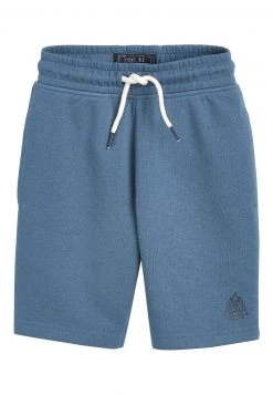 Next Unisex 2 PACK SHORTS - Shorts - Blue -Next Verkäufe 2022 30ee067fa8894762b69746d1d2443a0f