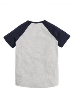 Next Unisex 4 PACK RAGLAN T-SHIRTS - T-Shirt Print - Grey -Next Verkäufe 2022 3e2b8966ddbf45bd82f69516d992ae76