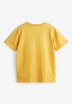 Next EMBROIDERED SHORT SLEEVE - T-Shirt Print - Yellow Chameleon | Kinder -Next Verkäufe 2022 44331199970842048f3785ab4d85b3e0