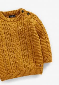 Next Kinder CABLE CREW - Strickpullover - Ochre 5 Next Kinder CABLE CREW - Strickpullover - Ochre -Next Verkäufe 2022 52f2f45177804487820f63e41148599c
