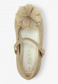 Next Riemchenballerina - Gold Coloured | Kinder -Next Verkäufe 2022 62823fd5b7564866949c373c5e695121