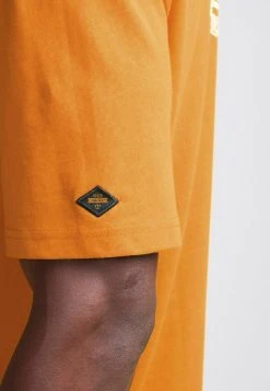 Next GRAPHIC - T-Shirt Print - Orange | Herren -Next Verkäufe 2022 63b93341bd6f43d4a1b49720c673a8b8