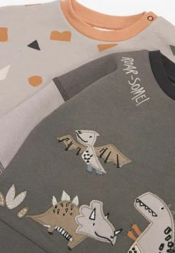 Next 2 PACK - Sweatshirt - Grey Dino Baby | Kinder -Next Verkäufe 2022 63f69e5afa22493f914ed4639a30cafc