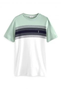 Next Herren T-Shirt Print - Mint Green Soft Touch -Next Verkäufe 2022 8f5ea946ffea405cb738752ba20c9f65