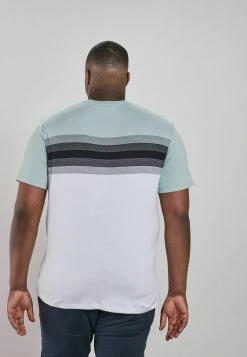 Next Herren T-Shirt Print - Mint Green Soft Touch -Next Verkäufe 2022 a0f6308fe8b748bbab5908092c4e571f