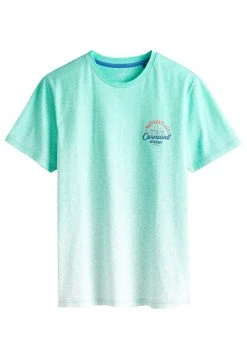 Next Herren T-Shirt Print - Mint Green -Next Verkäufe 2022 a4a71c0f8791494fb7dd18761a18ec5e