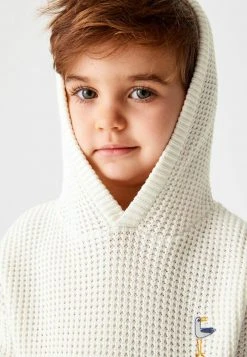 Next Kinder Kapuzenpullover - Blue/white -Next Verkäufe 2022 c5b71c31e466417b91bd10d1a8aca9b3
