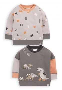 Next 2 PACK - Sweatshirt - Grey Dino Baby | Kinder