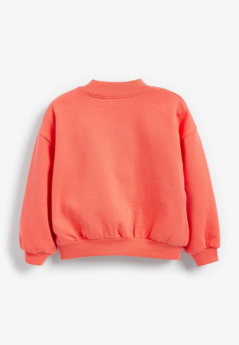 Next Kinder Sweatshirt - Multi Coloured 6 Next Kinder Sweatshirt - Multi Coloured – Bild 6