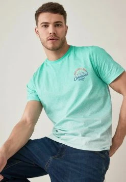 Next Herren T-Shirt Print - Mint Green -Next Verkäufe 2022 d0d95aece25a4ac59a164293f93f0313