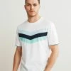 Next Herren BLOCKED - T-Shirt Print - White Blue Chevron