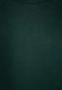 Next Kinder CREW NECK - Sweatshirt - Green -Next Verkäufe 2022 e3c37ea3bcb6472b9da23e8dc556186d