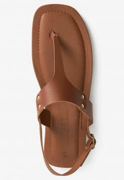 Next TOE POST - Zehentrenner - Tan | Damen -Next Verkäufe 2022 e78786f8f86c42b2bc631863b46d35e4