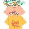 Next 3 PACK OVERSIZED - T-Shirt Print - Multi Campervan | Kinder